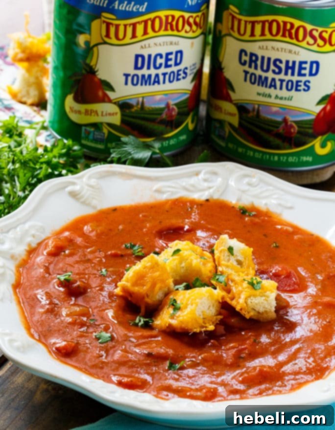 Hearty Tomato Soup 5 Chunky Tomato Soup with Cheese Croutons