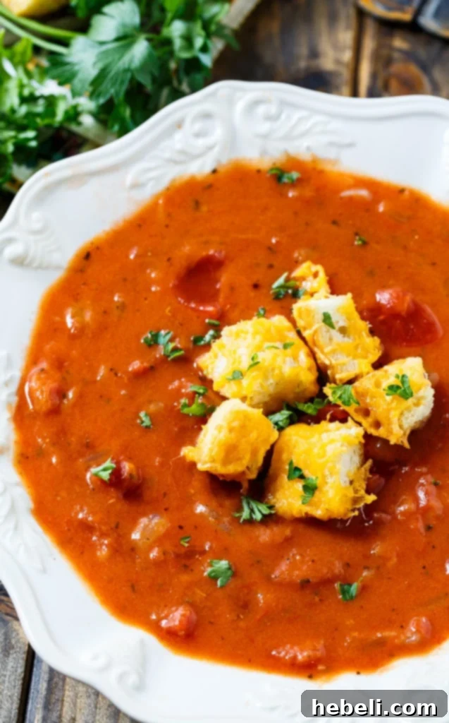 Hearty Tomato Soup 6 Chunky Tomato Soup with Cheese Croutons