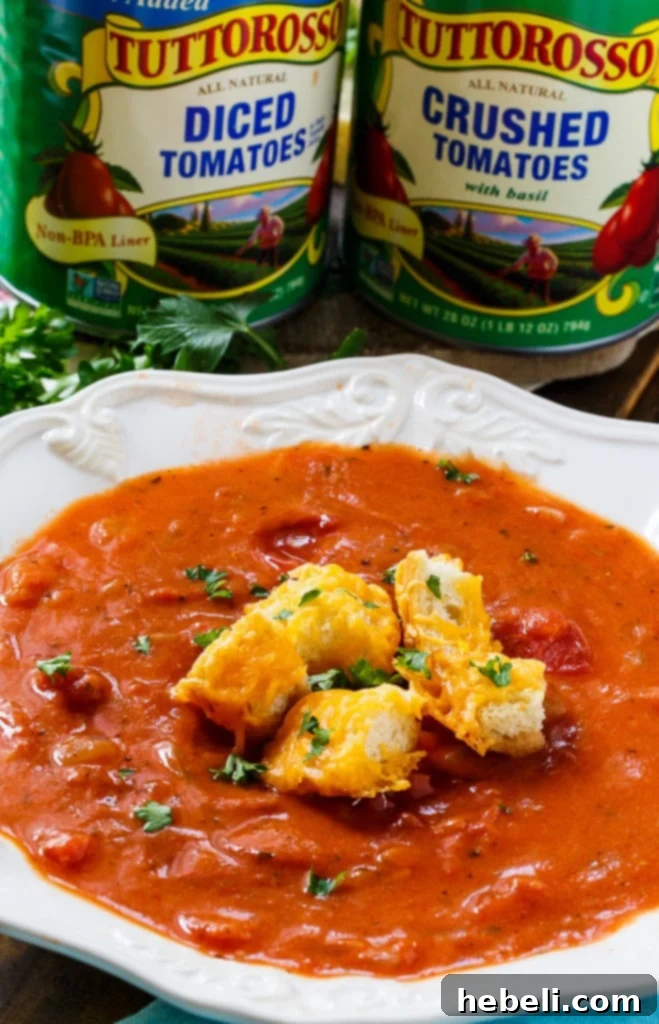 Hearty Tomato Soup 7 Chunky Tomato Soup with Cheese Croutons