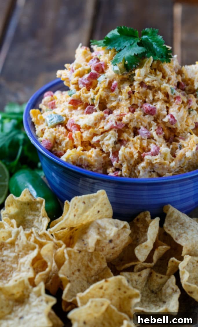 Kickin' Tex-Mex Pimento Cheese 4 This flavorful Tex-Mex Pimento Cheese offers a spicy kick with Southwestern seasonings and fresh jalapeños, making it ideal for dipping or spreading.