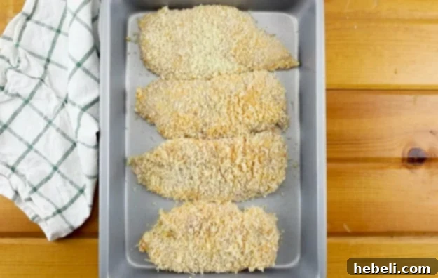 Coated chicken breasts neatly arranged in a baking dish, ready for oven