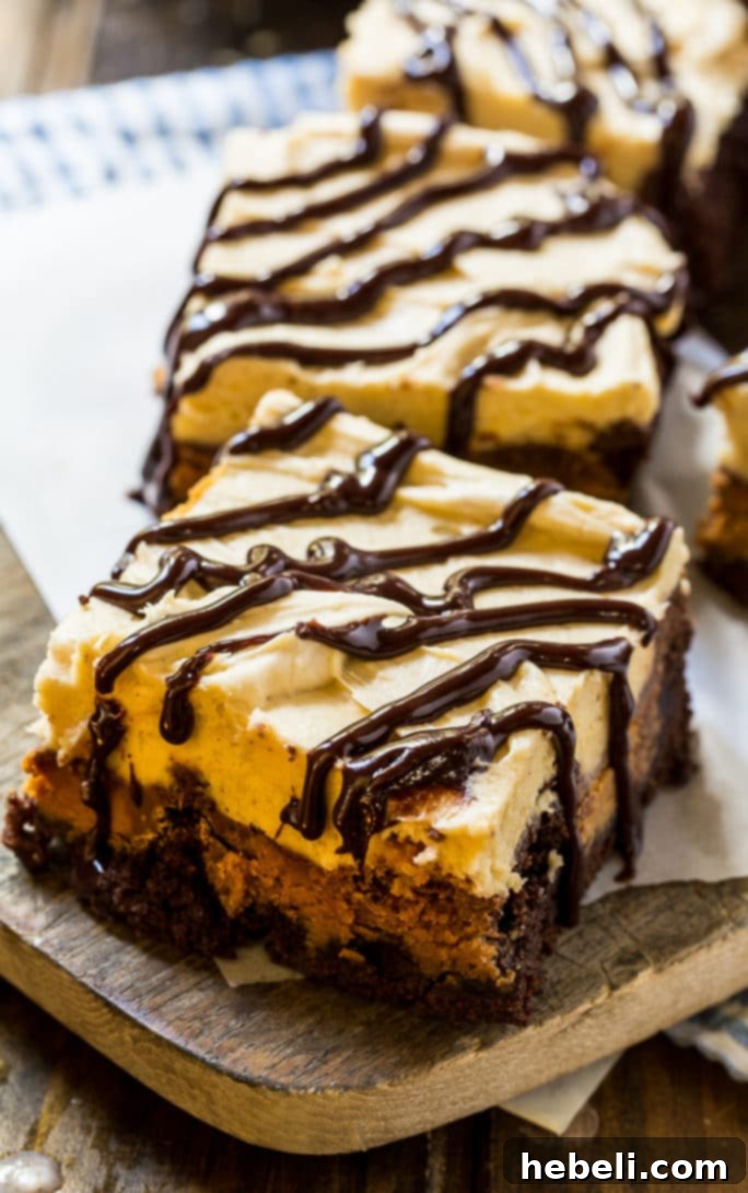Another angle of the frosted Peanut Butter Cup Brownies, artfully drizzled with chocolate and ready to be served