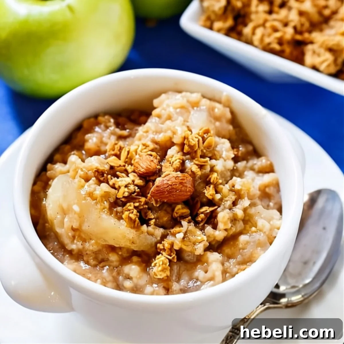 Cozy Apple Pie Slow Cooker Oats 2 A steaming bowl of Slow Cooker Apple Pie Oatmeal garnished with cinnamon and apple slices.