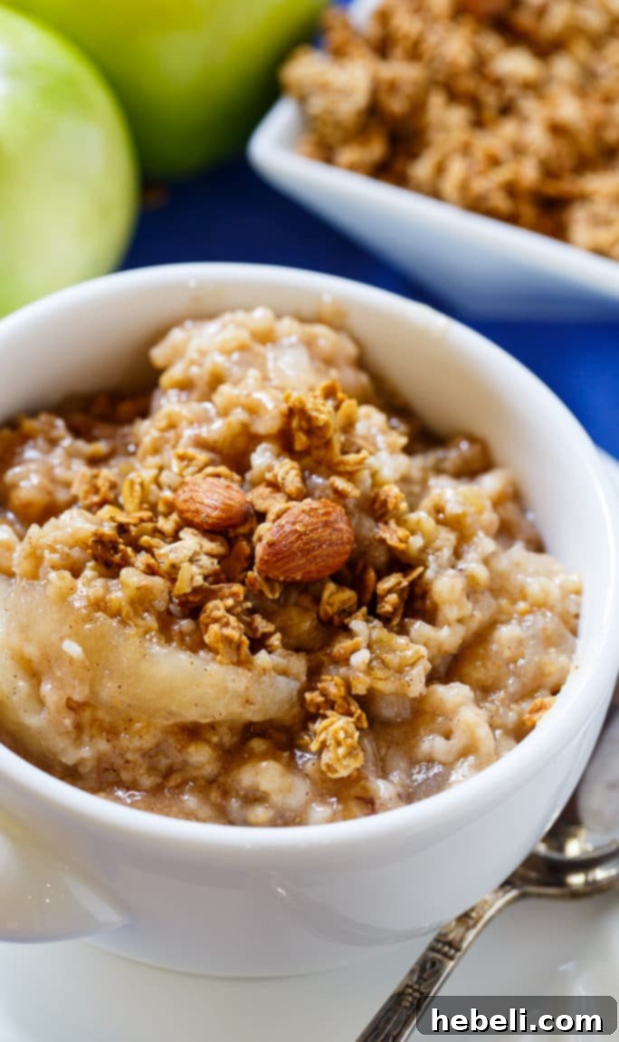 Cozy Apple Pie Slow Cooker Oats 3 Slow Cooker Apple Pie Oatmeal ready to be served from the crock pot.