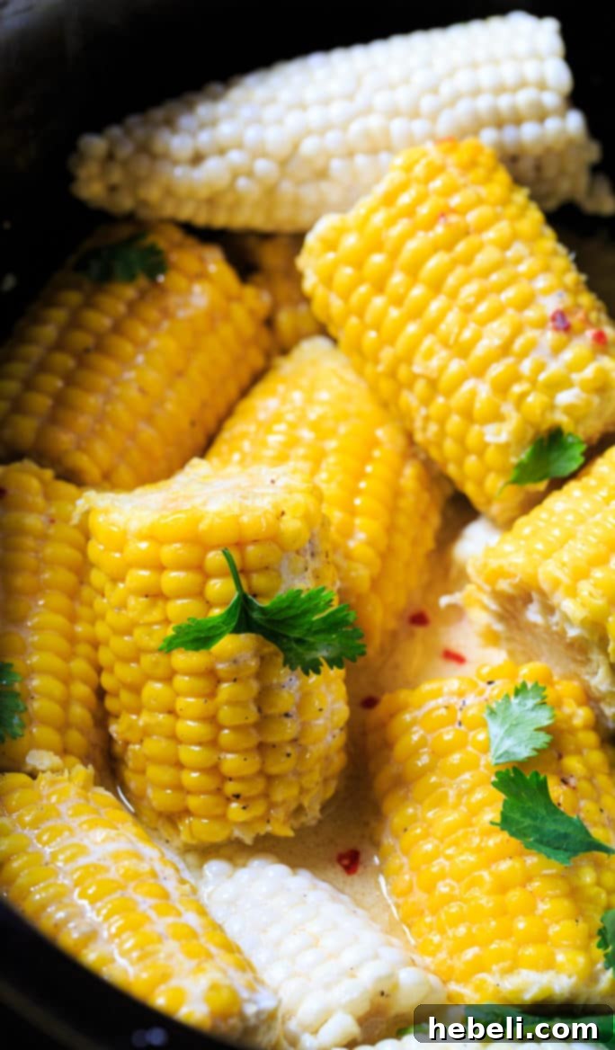 Easy Crock Pot Corn on the Cob 3 Close-up of Crock Pot Corn on the Cob simmering in a slow cooker with coconut milk and butter.
