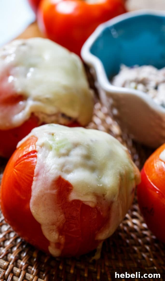 Close-up of a prepared Tomato Tuna Melt, showing the creamy tuna salad nestled in a cored tomato, topped with melted cheese.