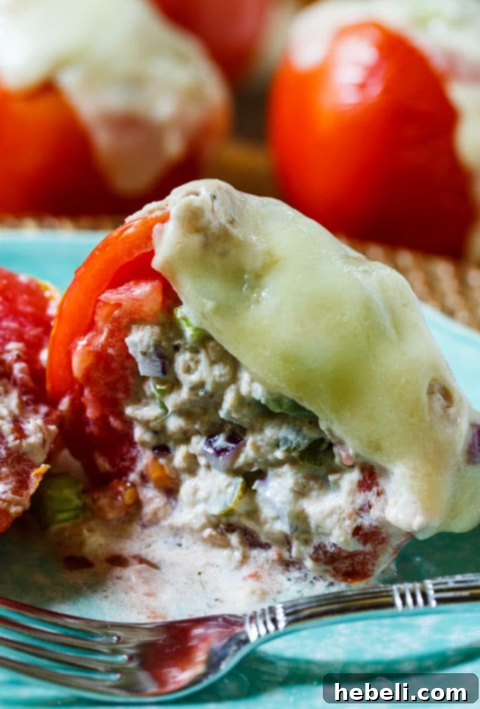A trio of freshly baked Tuna Melt Tomatoes on a plate, garnished with fresh herbs, highlighting the golden melted cheese.