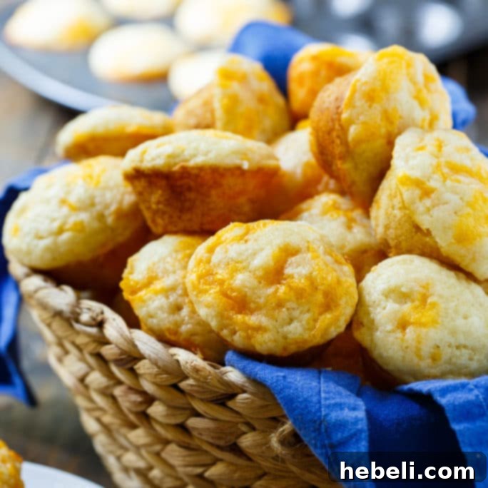 Copycat Jim n Nicks Cheesy Biscuits 2 Delicious Jim 'n Nick's Cheesy Biscuits Copycat Recipe
