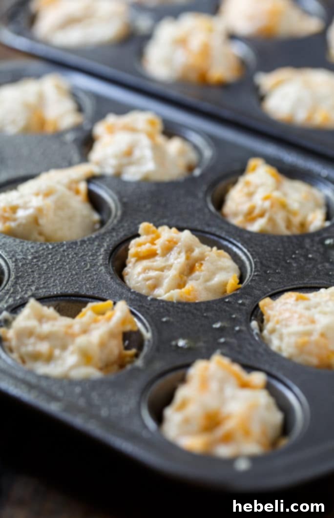 Copycat Jim n Nicks Cheesy Biscuits 4 Freshly baked mini cheesy biscuits cooling on a wire rack, ready to eat