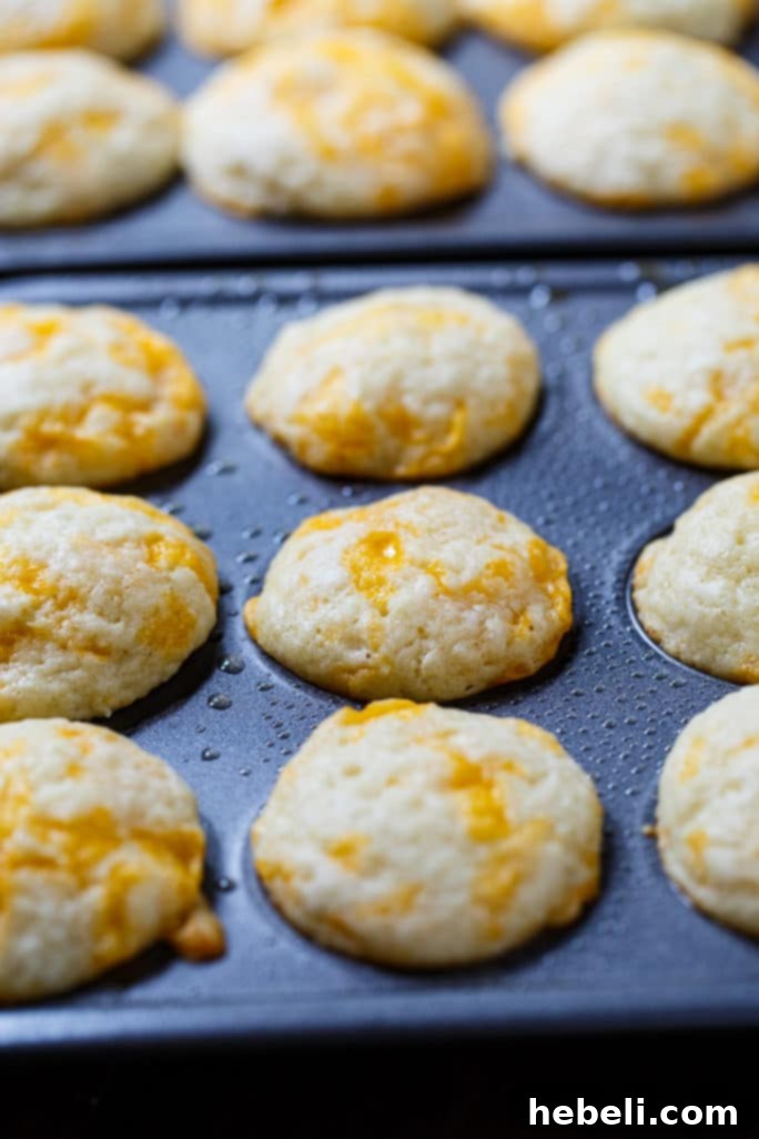 Copycat Jim n Nicks Cheesy Biscuits 5 Bowl of cheesy biscuit batter with shredded sharp cheddar cheese for mixing