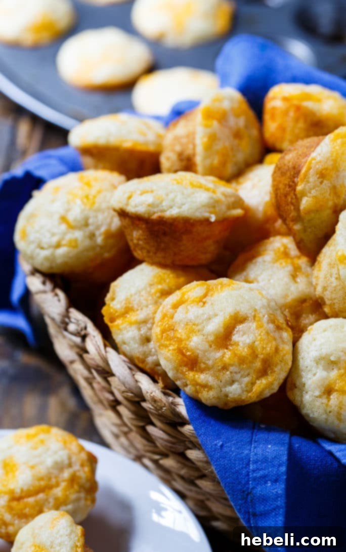 Copycat Jim n Nicks Cheesy Biscuits 6 Mini muffin pan filled with unbaked cheesy biscuit batter, ready for the oven