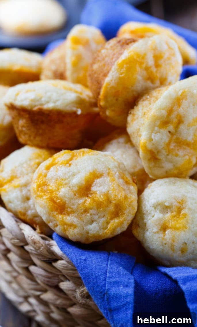 Copycat Jim n Nicks Cheesy Biscuits 7 Baked Jim 'n Nick's copycat cheesy biscuits in a mini muffin tin, fresh from the oven
