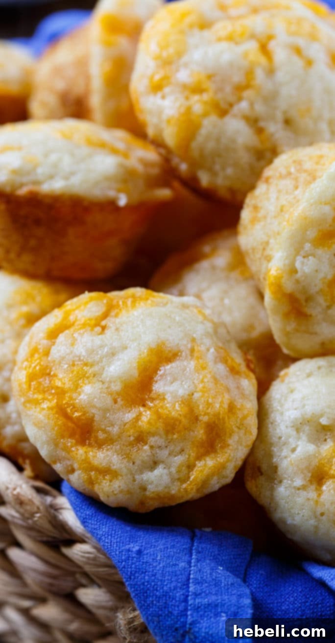 Copycat Jim n Nicks Cheesy Biscuits 8 Basket of warm, freshly baked Jim 'n Nick's style cheesy biscuits, ready for enjoyment