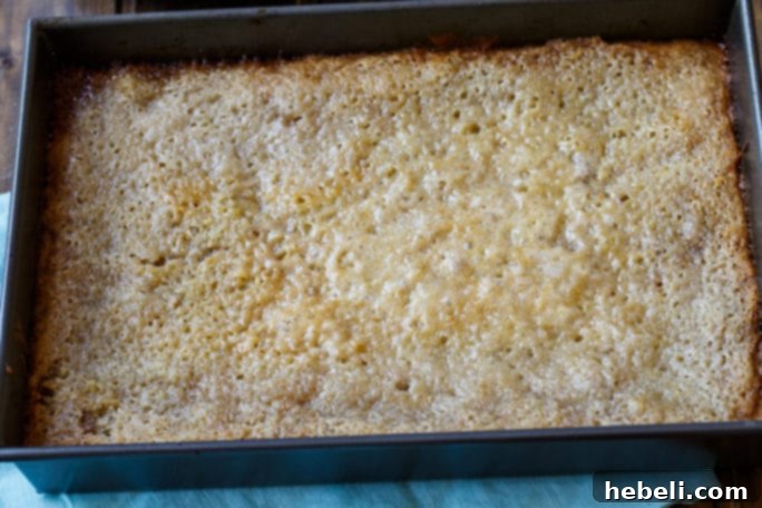 Southern Pecan Pie Cake 4 A full Pecan Pie Cake, showcasing its golden-brown, rich pecan topping, ready to be sliced and served.