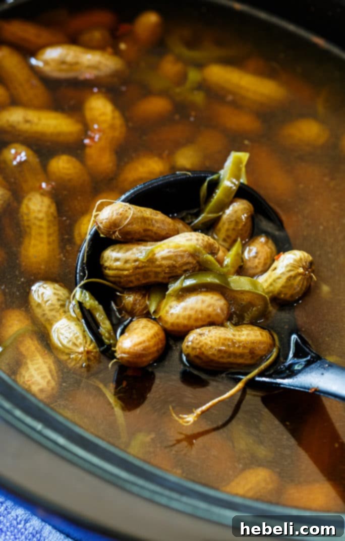 Fiery Crock Pot Boiled Peanuts 3 A close-up view of crock pot spicy boiled peanuts, showcasing their rich color and texture.