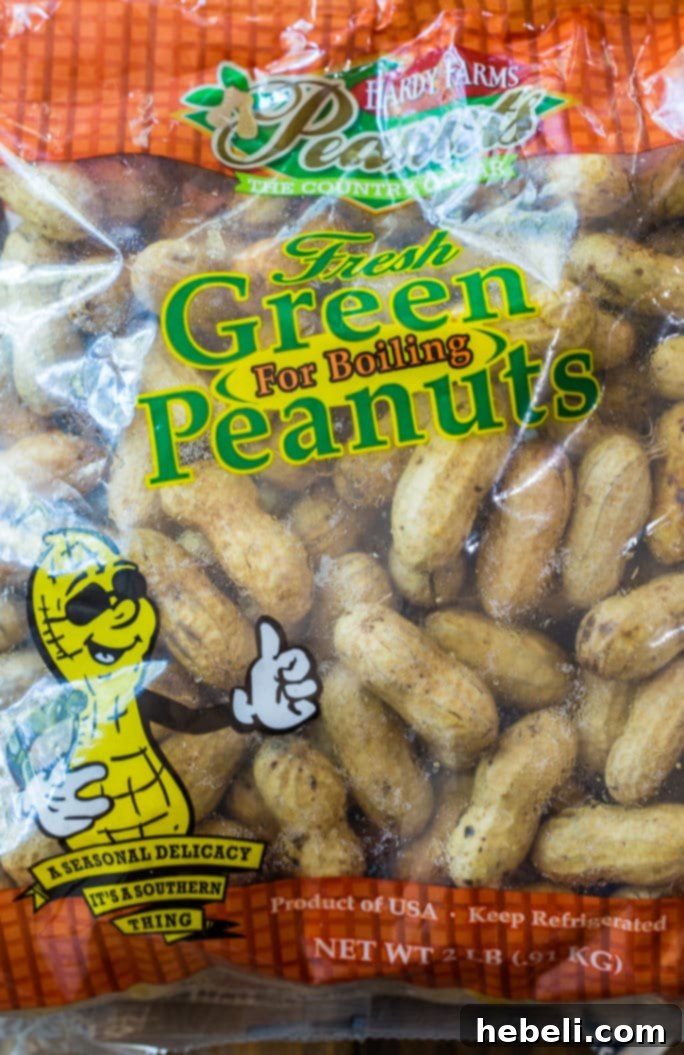 Fiery Crock Pot Boiled Peanuts 5 Fresh green peanuts in their shells, ready for boiling.