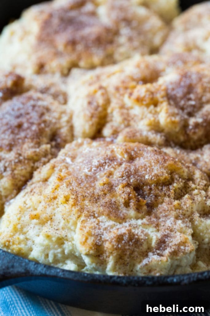 Skillet Snickerdoodle Biscuits in a Cast Iron Pan