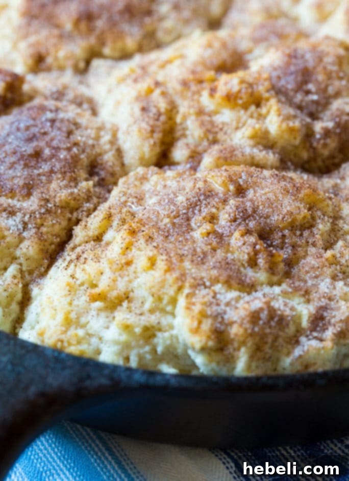 Mixing Dough for Skillet Snickerdoodle Biscuits