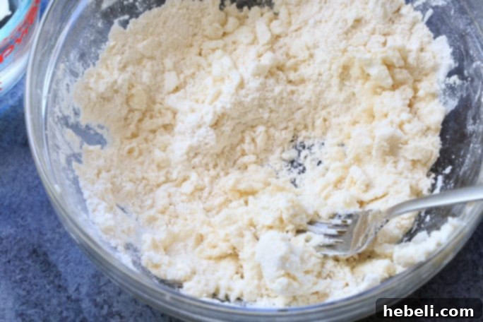 Chilled Flaky Pie Crust Dough