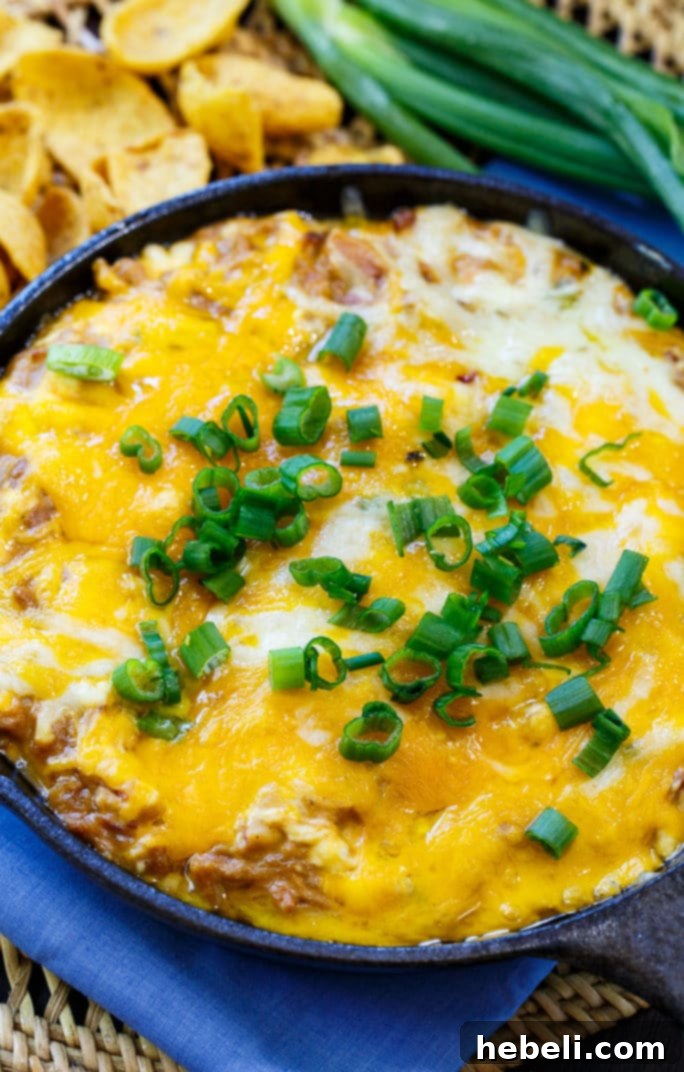 Creamy BBQ Pork Delight 2 Cheesy BBQ Pork Dip - perfect for game day