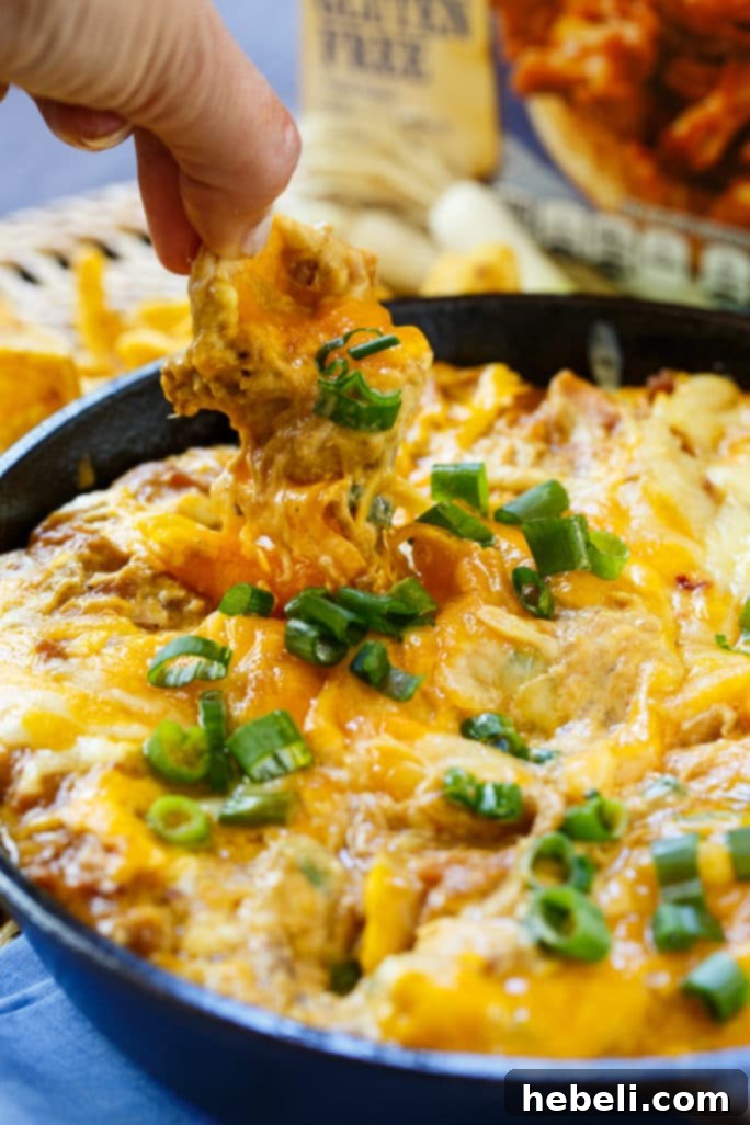 Creamy BBQ Pork Delight 7 Cheesy BBQ Pork Dip served with chips and other appetizers