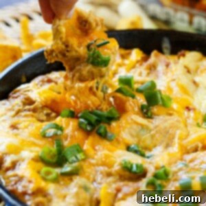 Cheesy BBQ Pork Dip