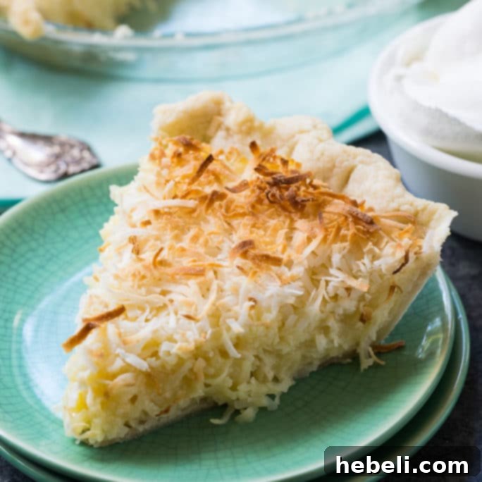 A beautifully baked Coconut Macaroon Pie, golden brown and ready to serve.