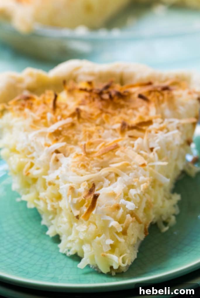 Delicious slice of Coconut Macaroon Pie ready to be served.