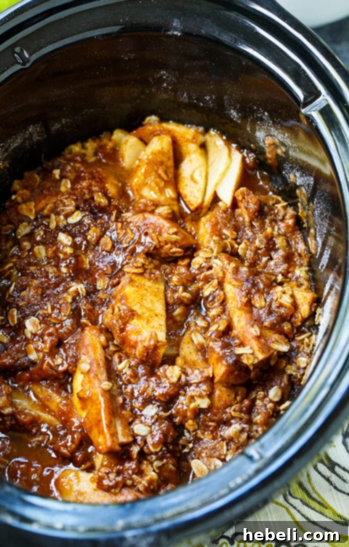 Golden Butterscotch Slow Cooker Apple Crisp 3 A close-up of the Crock Pot Butterscotch Apple Crisp, showcasing the golden-brown topping and tender apple filling.