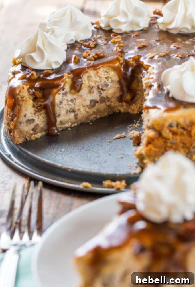 Southern Pecan Praline Cheesecake 4 A whole Pecan Praline Cheesecake with a buttery pecan crust and generous praline drizzle.