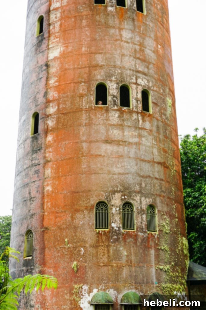 El Yunque Rainforest in Puerto Rico