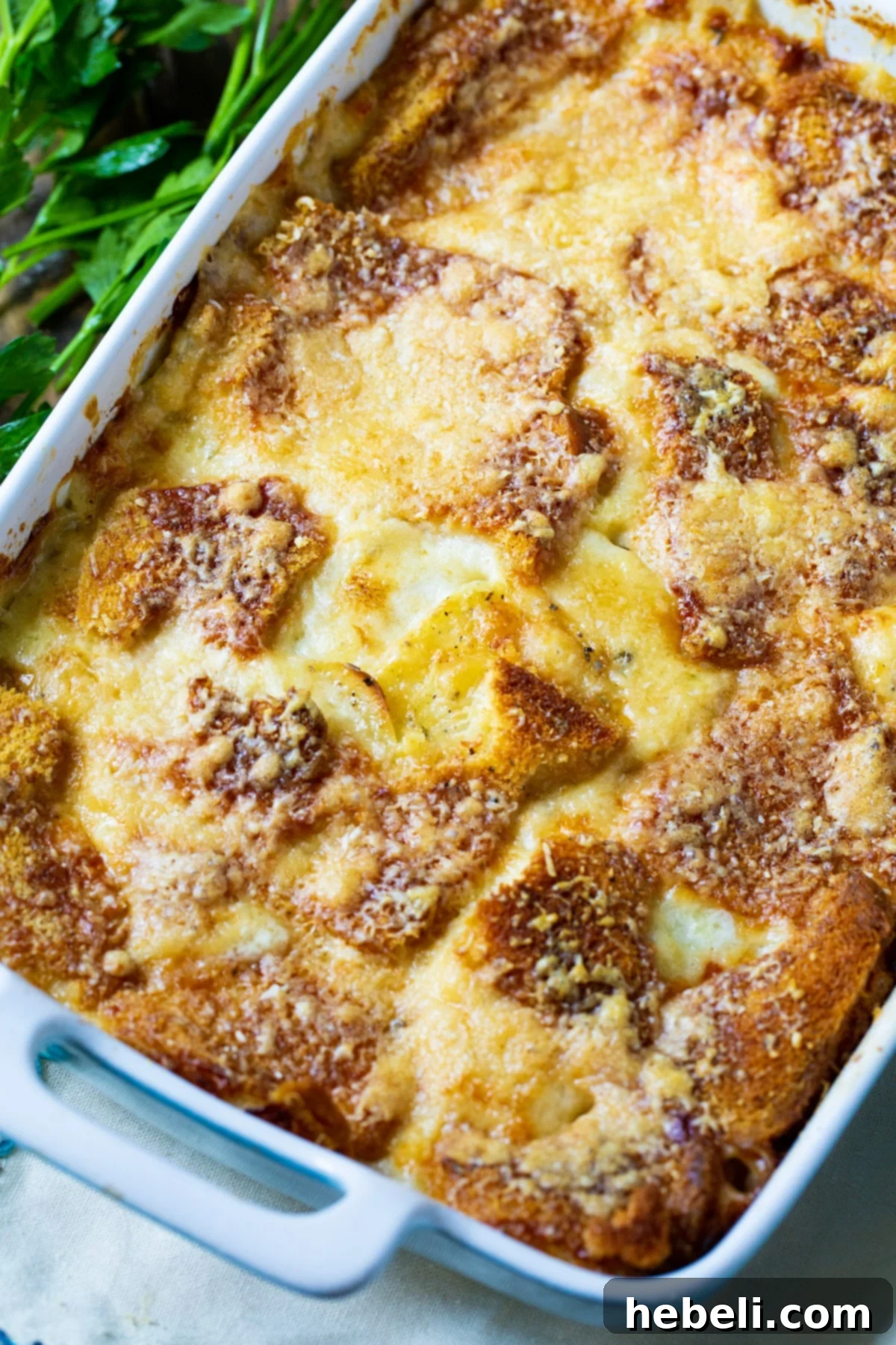 Golden brown Scalloped Potato Casserole in a baking dish, ready to serve.