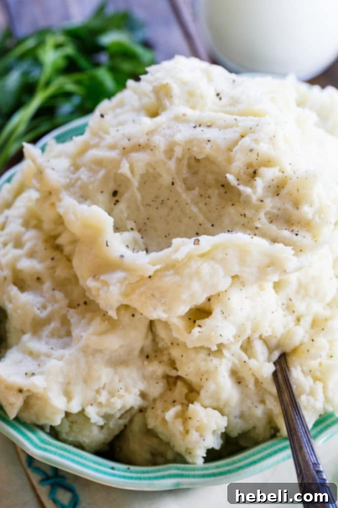 Steamed potatoes ready to be transformed into fluffy whipped potatoes.