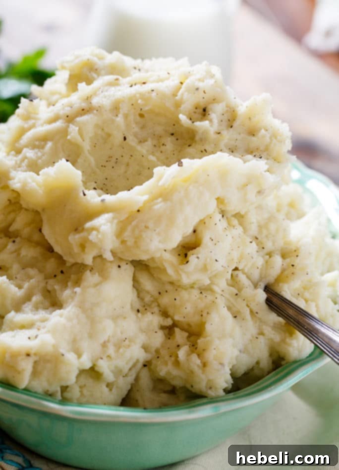 The perfect texture of fluffy, lump-free whipped potatoes ready to serve.