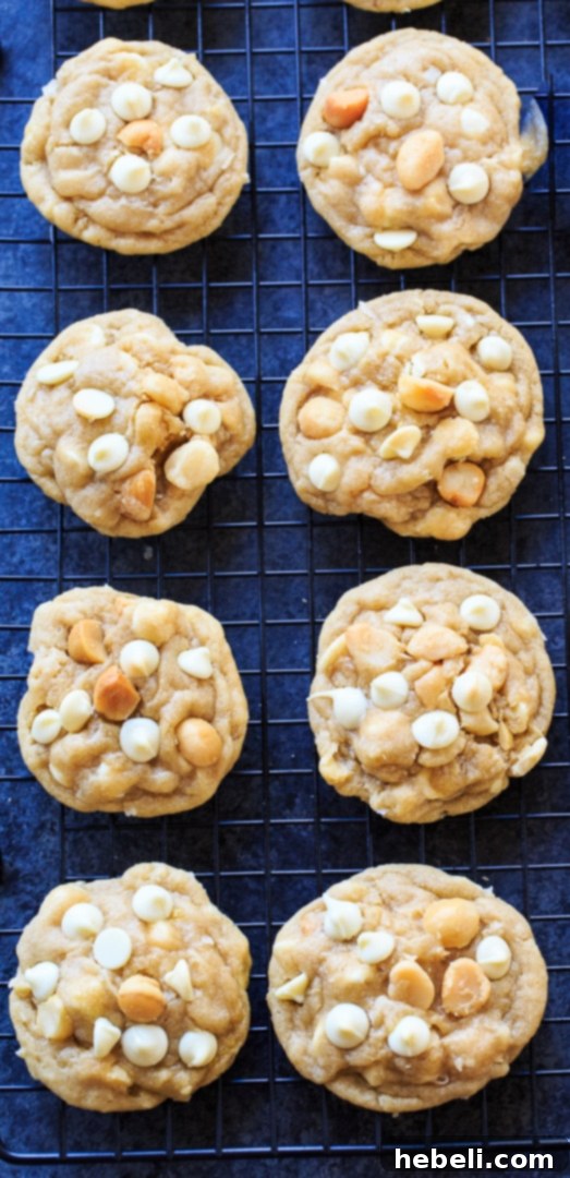 Heavenly White Chocolate Macadamia Nut Cookies 3 Close-up of a White Chocolate Macadamia Nut Cookie, showing its soft texture