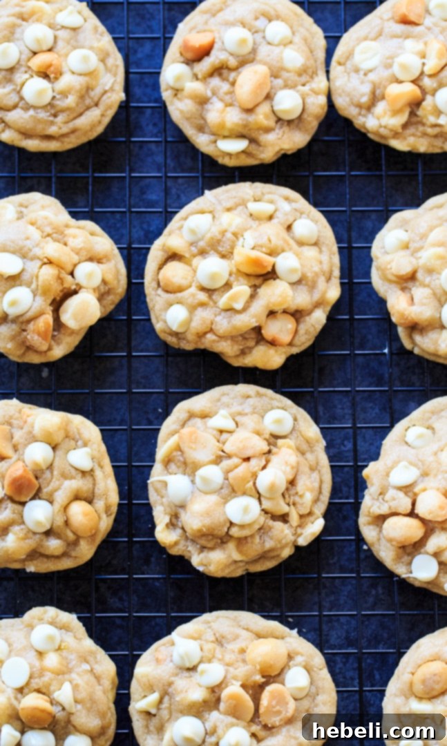 Heavenly White Chocolate Macadamia Nut Cookies 4 Raw cookie dough balls with white chocolate and macadamia nuts, ready for chilling