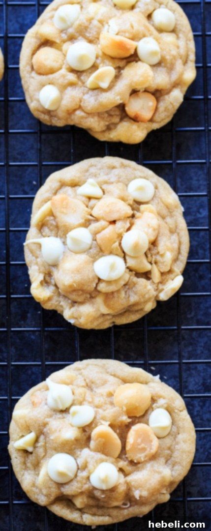 Heavenly White Chocolate Macadamia Nut Cookies 5 Freshly baked White Chocolate Macadamia Nut Cookies with a hint of coconut