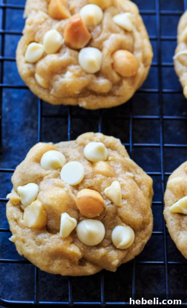 Heavenly White Chocolate Macadamia Nut Cookies 6 A plate of warm, soft White Chocolate Macadamia Nut Cookies