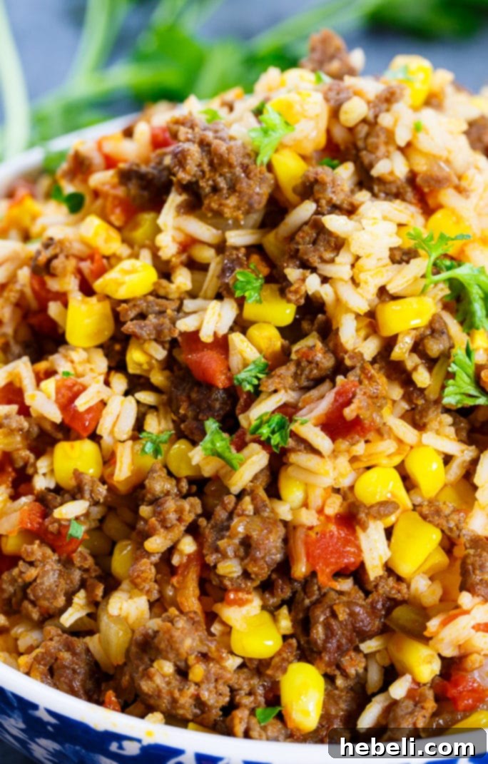 Chorizo Rice Fiesta 4 Mexican Chorizo Rice served as a versatile side dish for tacos or burritos, presented beautifully.