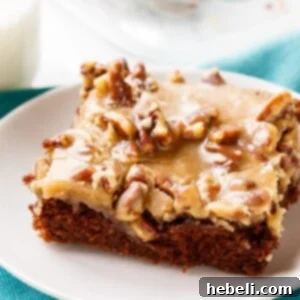 Chocolate Praline Cake- perfect for Mardi Gras