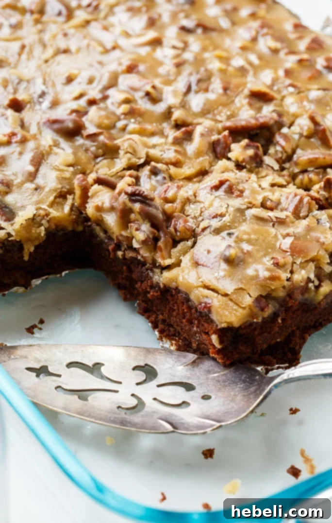Chocolate Praline Cake- perfect for Mardi Gras