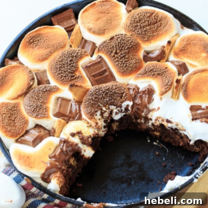 Delicious S'mores Skillet Brownie with melted chocolate and toasted marshmallows