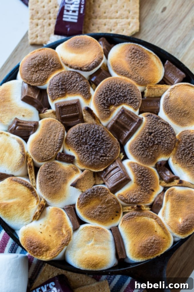 Close-up of S'mores Skillet Brownie showing its fudgy texture with visible graham crackers and chocolate