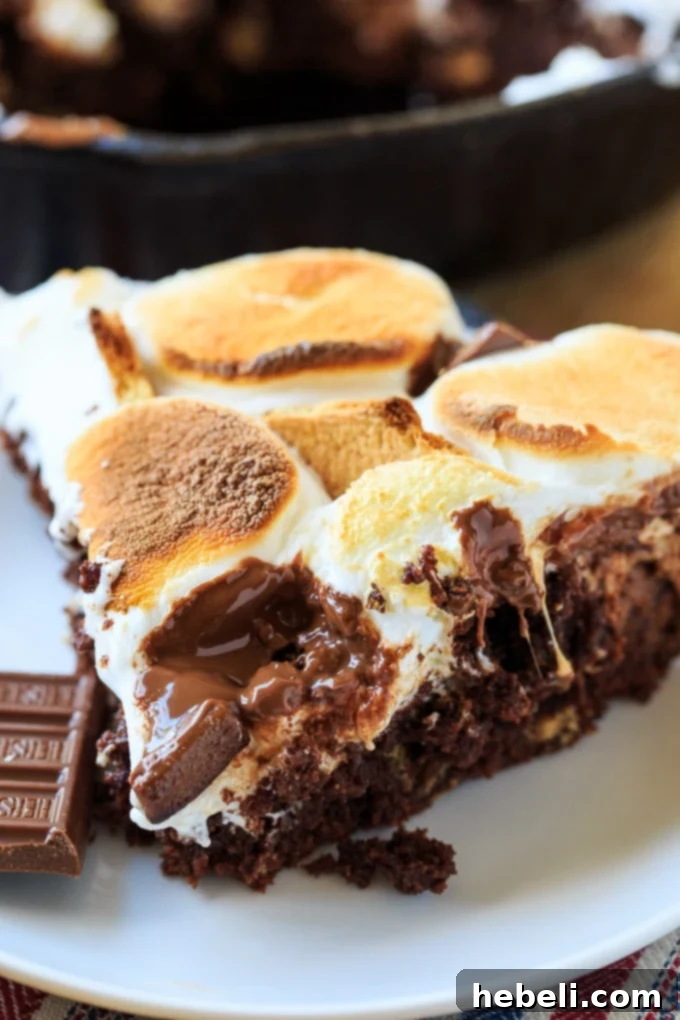Another mouth-watering view of the S'mores Skillet Brownie with perfect golden marshmallows