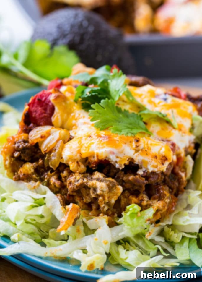 Loaded Taco Bake Squares 6 Deep Dish Taco Squares served hot with fresh diced avocado and cilantro on a bed of shredded lettuce.