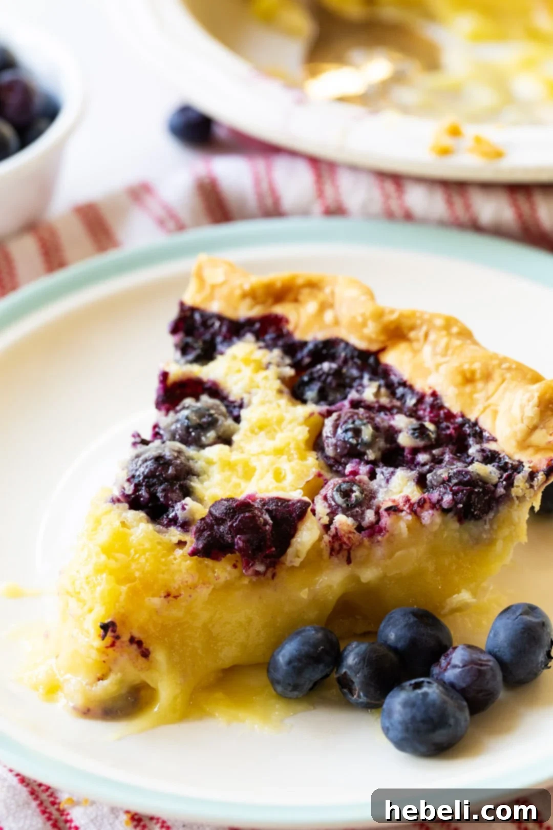 A single slice of Blueberry Buttermilk Pie on a white plate, garnished with fresh blueberries.