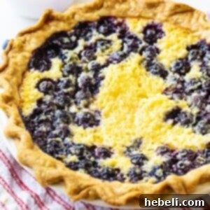 Whole Blueberry Buttermilk Pie
