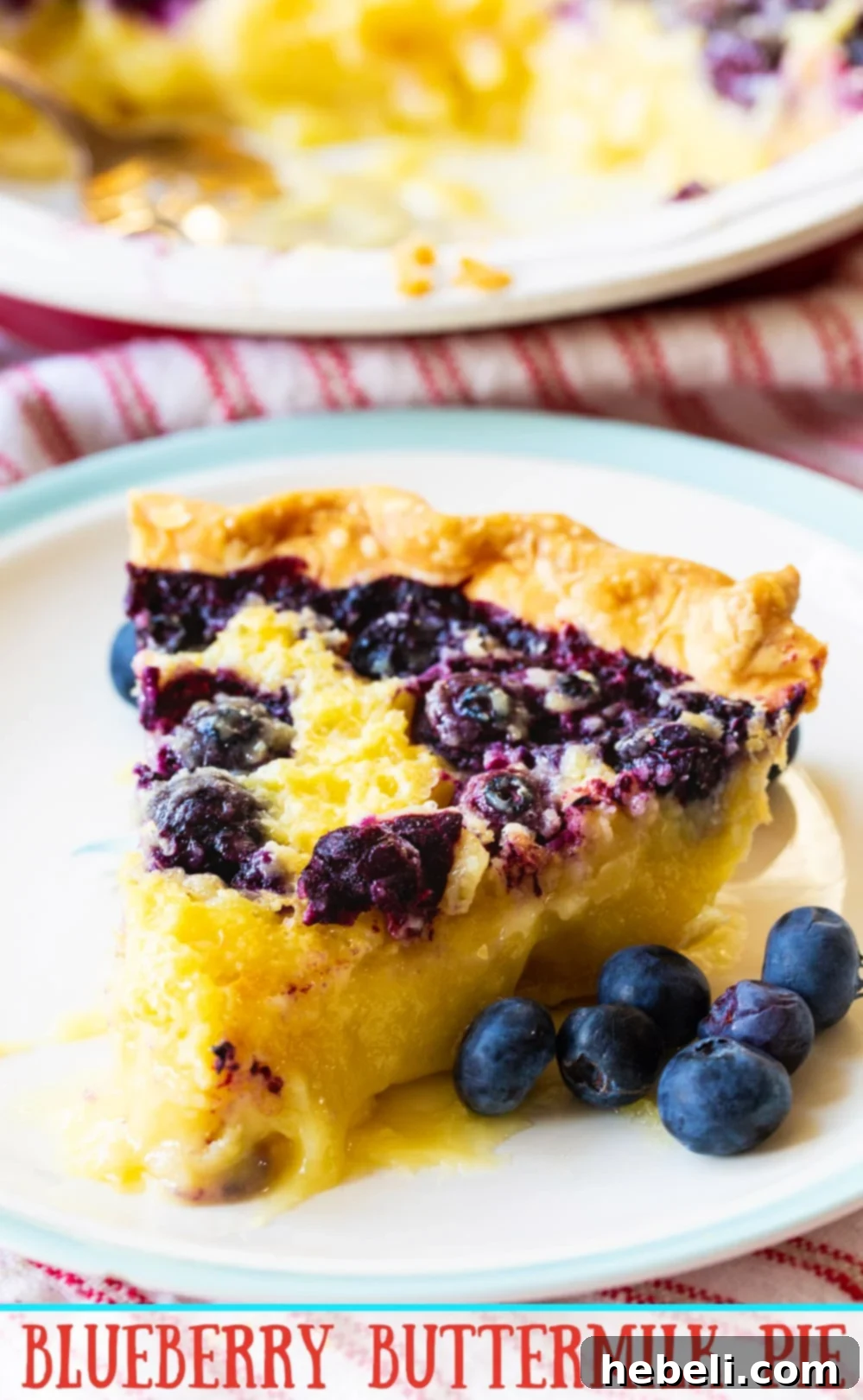 Beautifully baked Blueberry Buttermilk Pie with a golden crust, ready to be served.