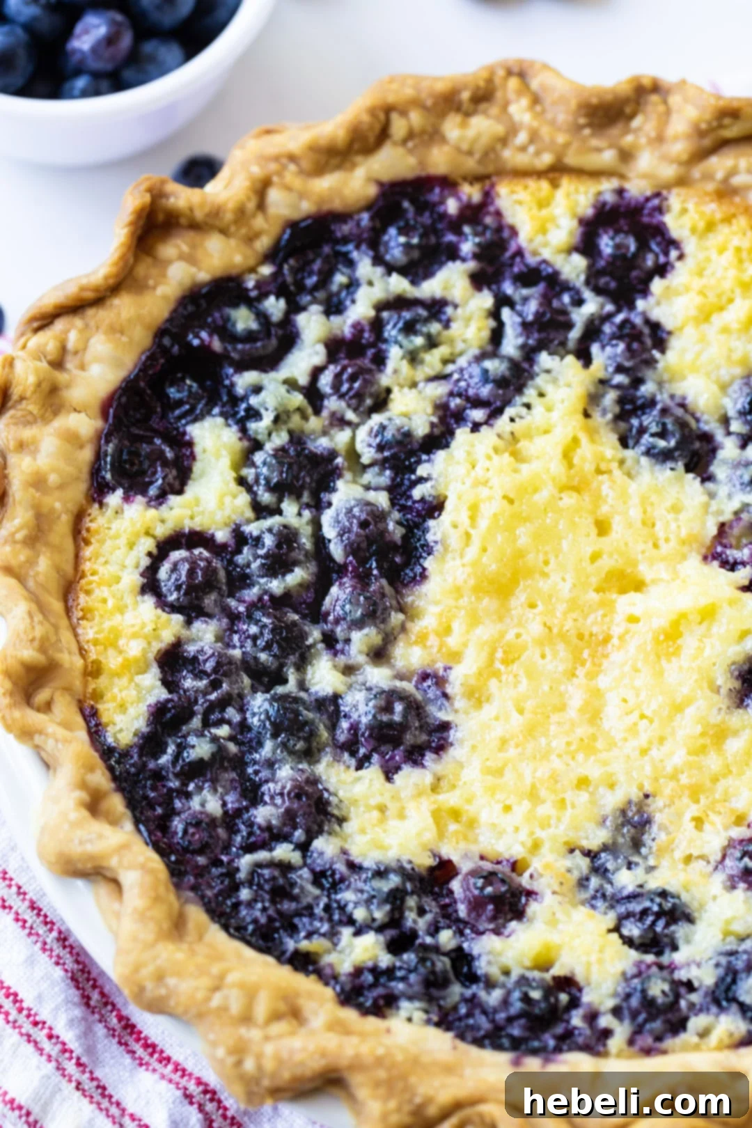 Close-up of a slice of Blueberry Buttermilk Pie with fresh blueberries on top.