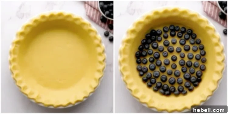 Fresh blueberries scattered in an unbaked pie crust.